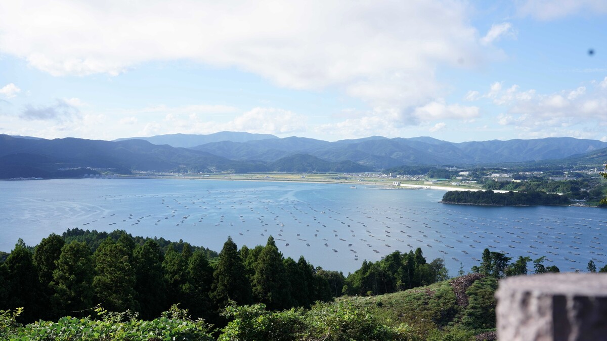 展望台からの広田湾