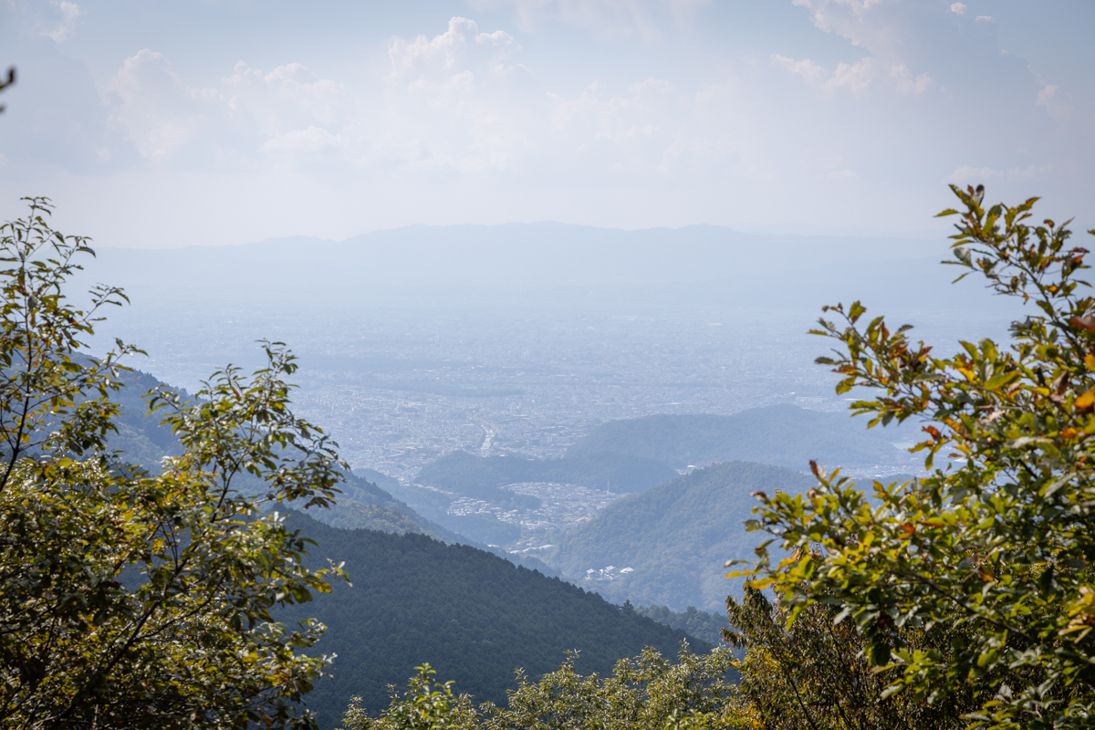 玉体杉周辺から見える京都方面の眺望