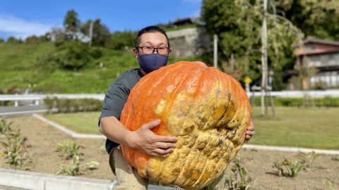 重さ100Kgのものも！ハロウィンで「アトランティックジャイアント」かぼちゃ使ってみない？