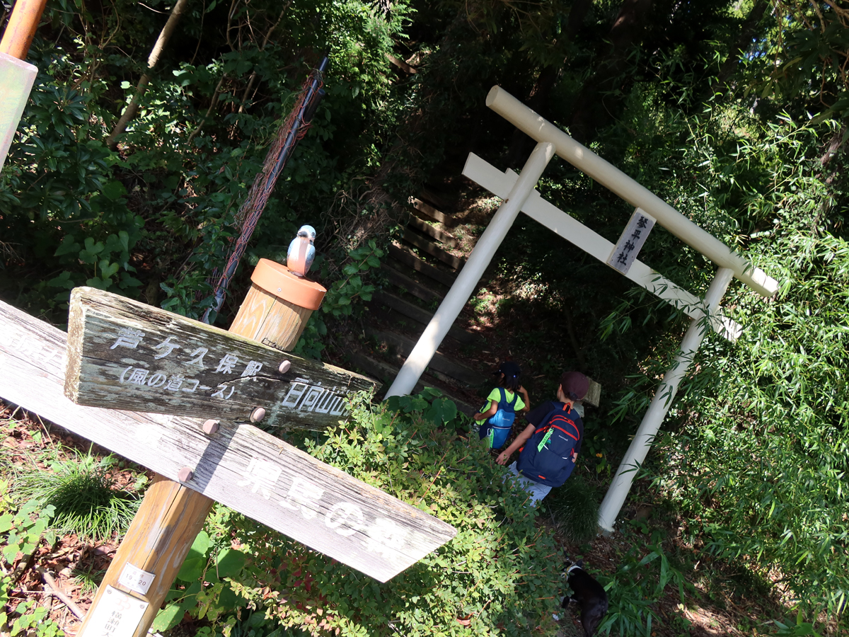 琴平神社の鳥居