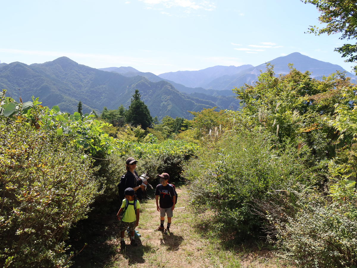 日当たり良好、眺望も最高の山道