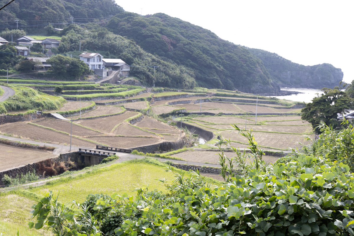 稲刈りが終了していた春日の棚田