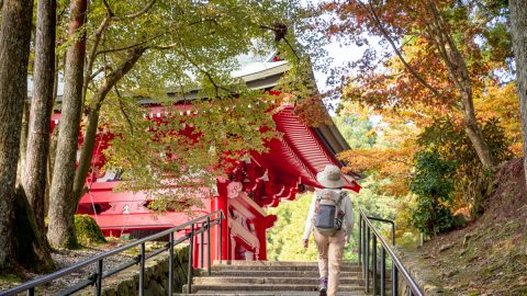 今が紅葉の見ごろ！心地良き森のトレイルを歩いて世界文化遺産・比叡山延暦寺をめぐる