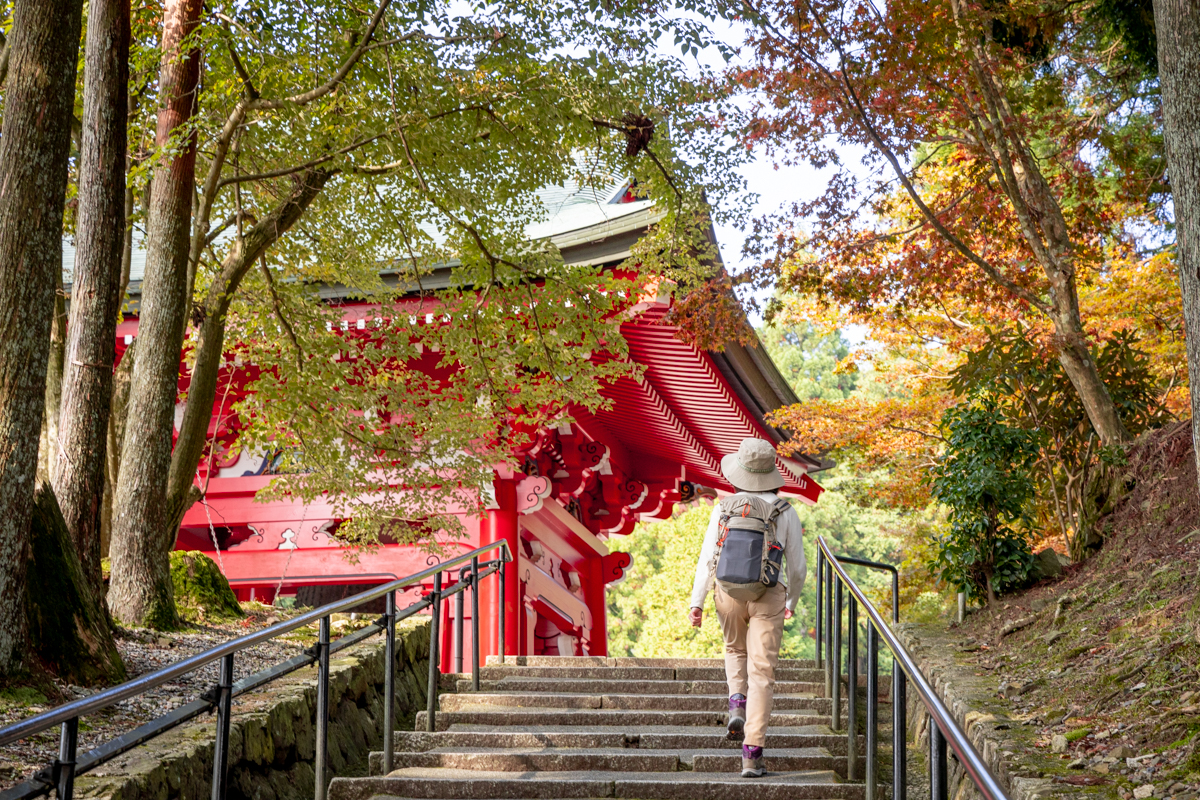 紅葉の比叡山を歩く