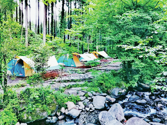 森の中のキャンプ場