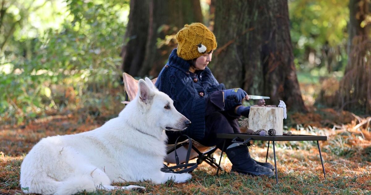 キャンプで手仕事！愛犬をモチーフにした木彫りスプーンに挑戦【災害