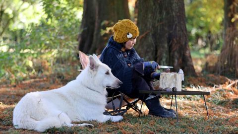 キャンプで手仕事！愛犬をモチーフにした木彫りスプーンに挑戦【災害救助犬コアと家族の日記 Vol.10】