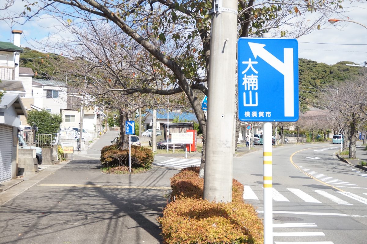 三浦半島・大楠山をぶらりハイク