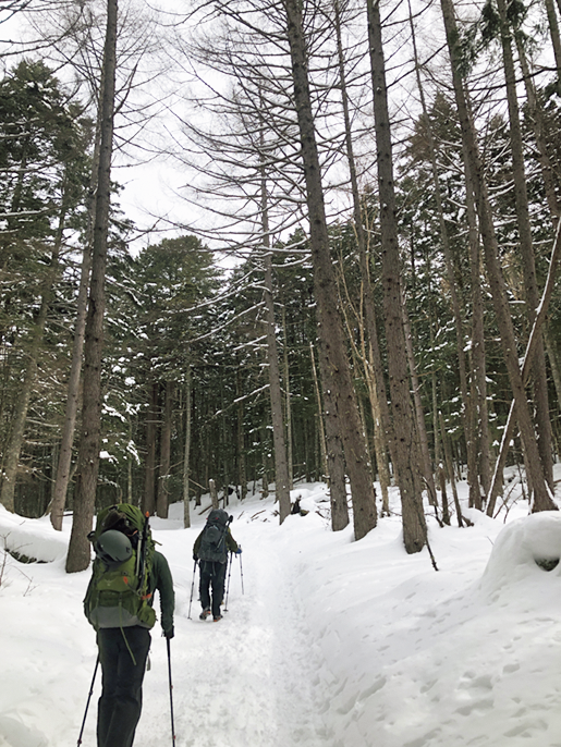 雪山トレッキング