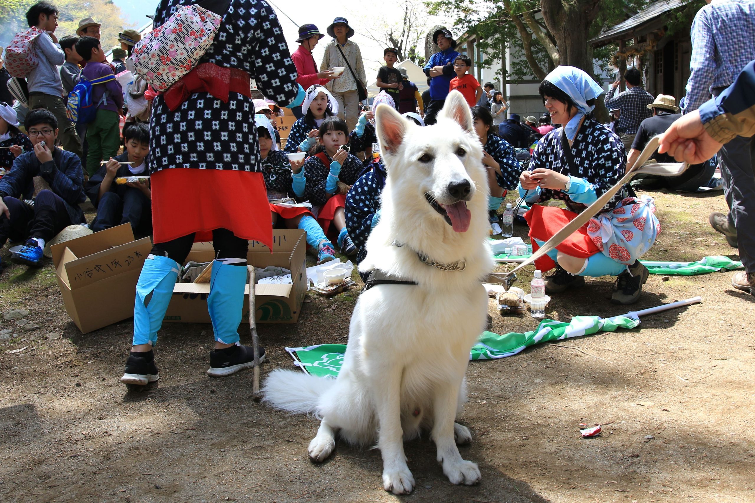 災害救助犬