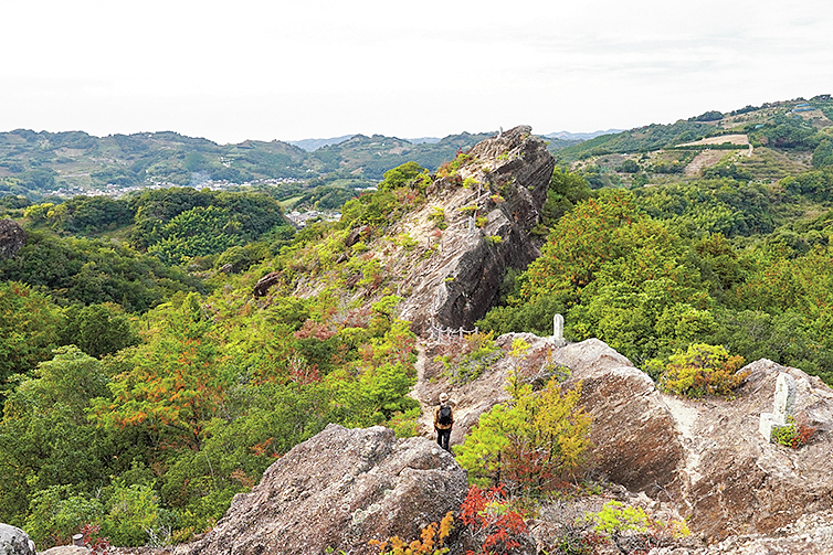 和歌山県田辺市　ひき岩群