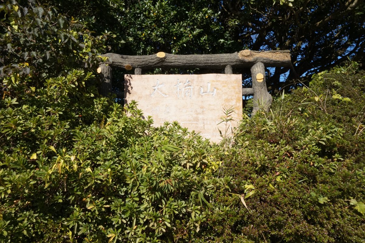 三浦半島・大楠山をぶらりハイク