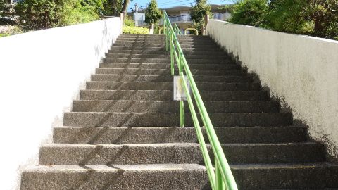 “文学散歩”を楽しみながら登れる文京区の山とは？【プロハイカー斉藤正史のTOKYO山頂ガイド File.16】