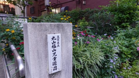 樋口一葉とゆかりの深い文京区の幻の山を歩く【プロハイカー斉藤正史のTOKYO山頂ガイド File.17】