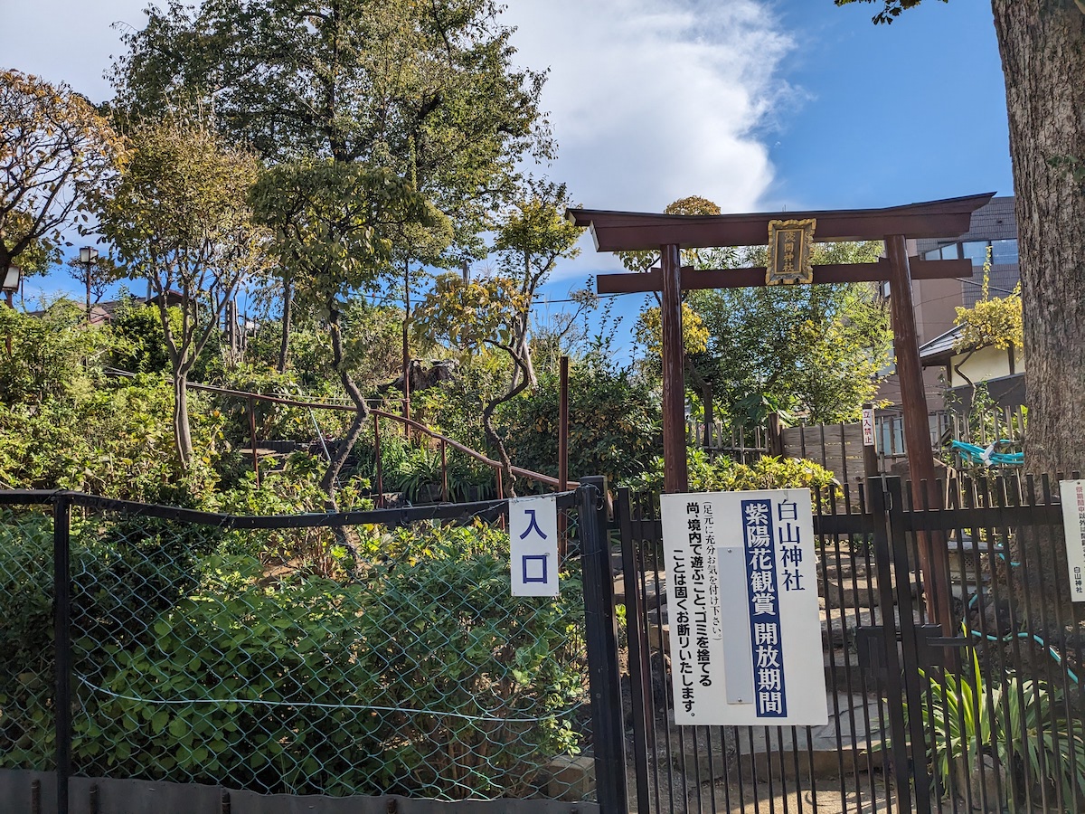 無情にも門が閉ざされた白山富士の入口。