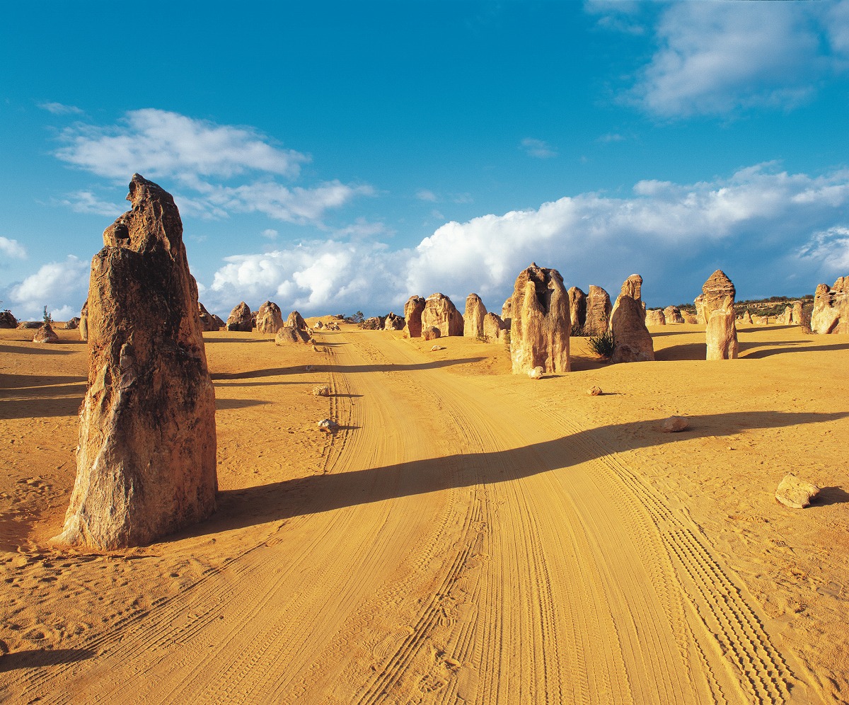 砂漠に林立する巨岩群「ピナクルス」。ちなみに「ピナクル」とは「尖塔」とか「とがった峰」とか「頂点」といった意味です。（オーストラリア政府観光局提供）