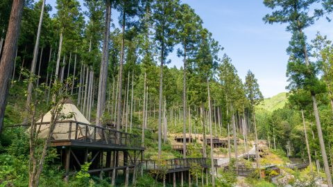 埼玉・飯能でキャンプを楽しみながら「100年続く森」を守る仲間を大募集！1月に体験会も