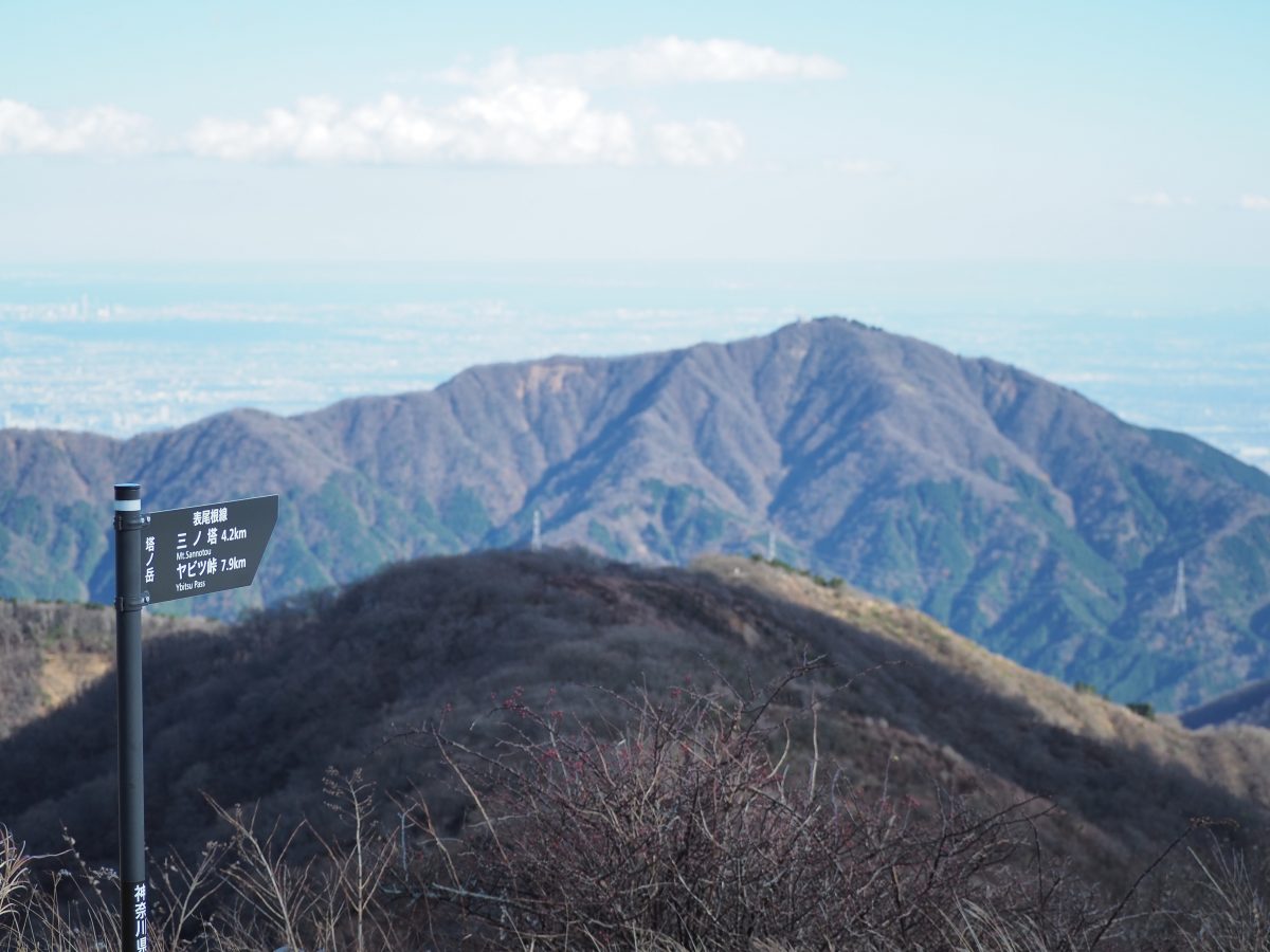 塔ノ岳山頂