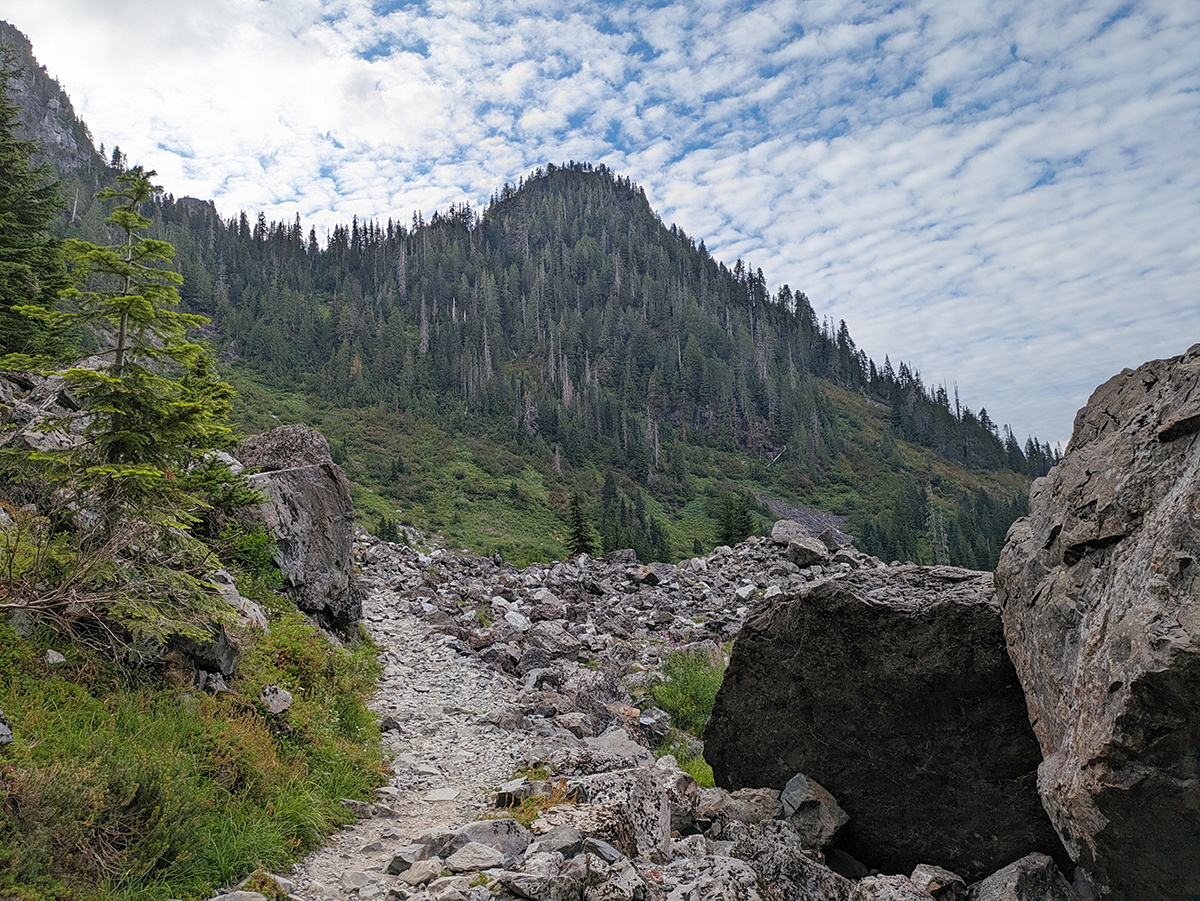 自然を生かした造りが特徴的なレイク22のハイキング・コース。