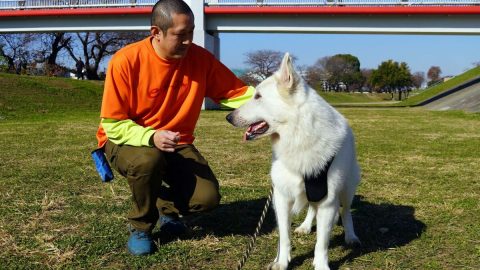 犬連れキャンパーと出会ったら…知っておきたい「犬とのふれあい方 」【災害救助犬コアと家族の日記 Vol.11】