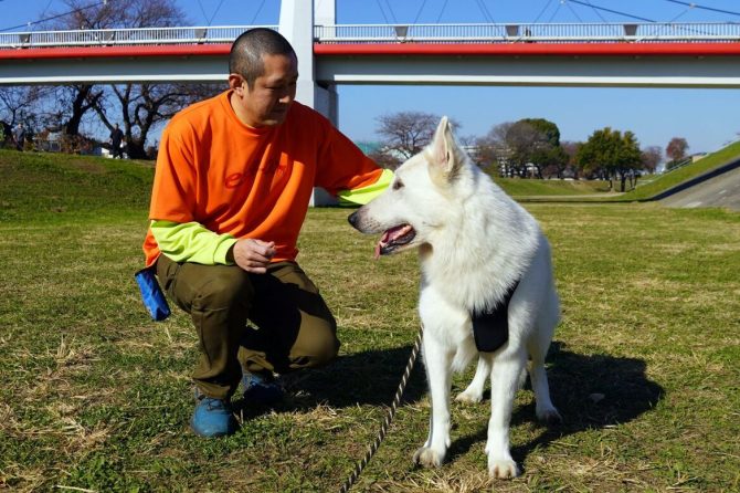 犬連れキャンパーと出会ったら…知っておきたい「犬とのふれあい方 」【災害救助犬コアと家族の日記 Vol.11】