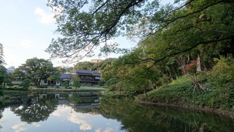 由緒正しき旧細川家本邸の庭園に築かれた名もなき山【プロハイカー斉藤正史のTOKYO山頂ガイド File.21】