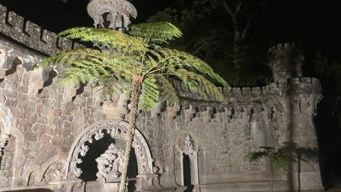 まるで「ドラクエ」！ ポルトガル・世界遺産の街にある妖しい宮殿の庭を探検