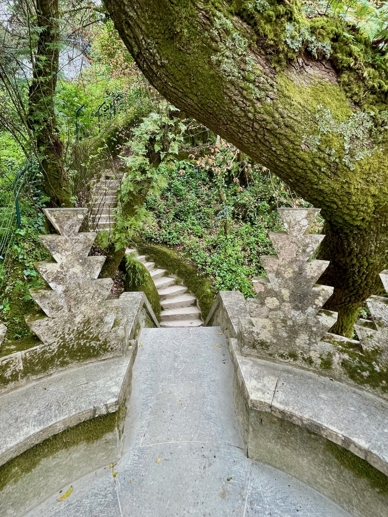 荘園の道