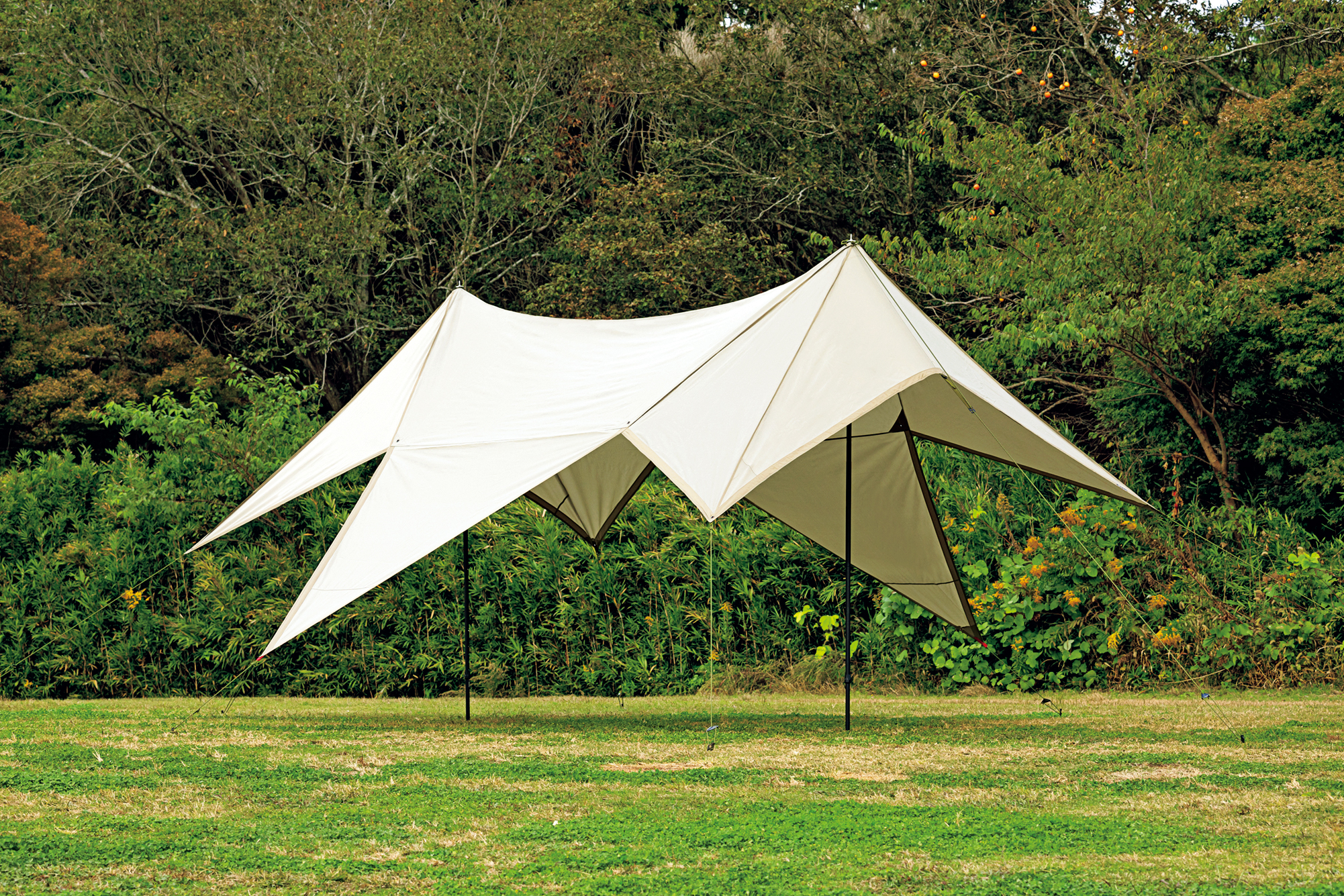 2024 最新型 アーバンフォレスト ざぁーすヘキサタープ幕男グレー