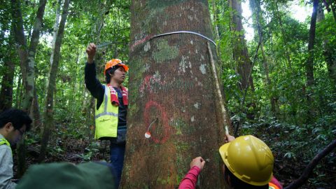 社会に役立つビッグデータに！楽しく生き物調査できるスマホアプリ「Biome」の可能性