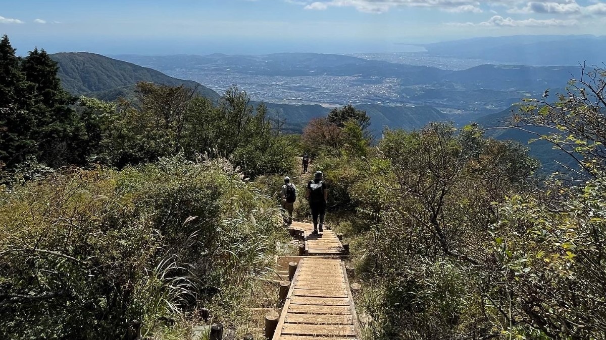 塔ノ岳の木道