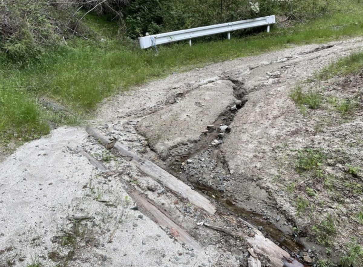 整備が必要な御嶽道の林道。