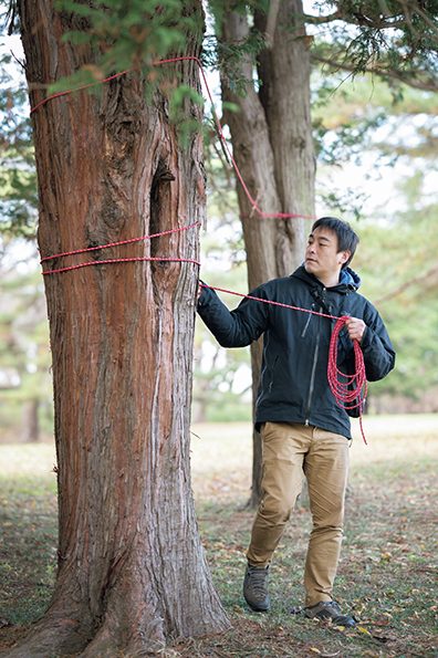 木にロープを結ぶ男性
