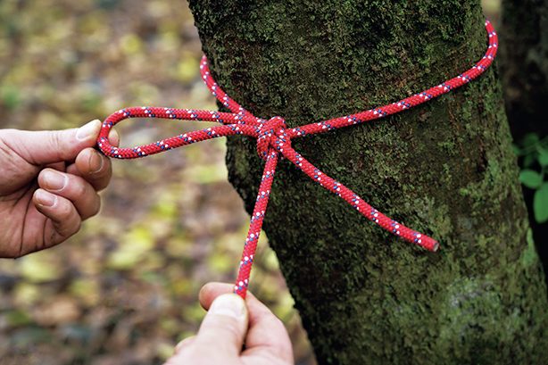 木に赤いロープを結んでいる様子