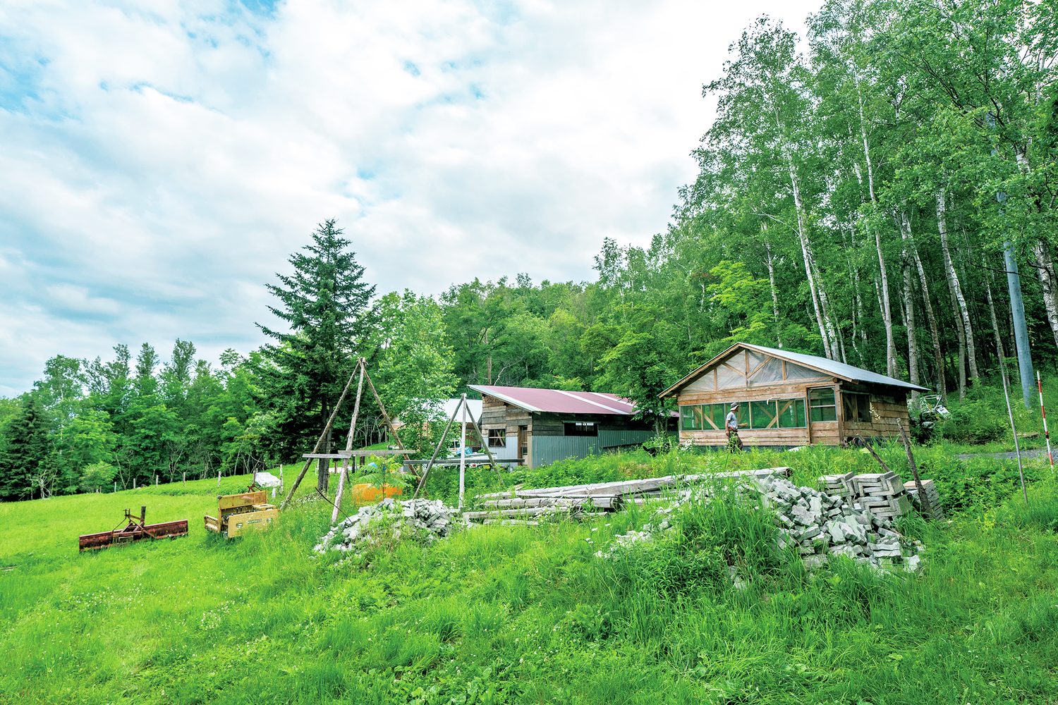 森と山小屋