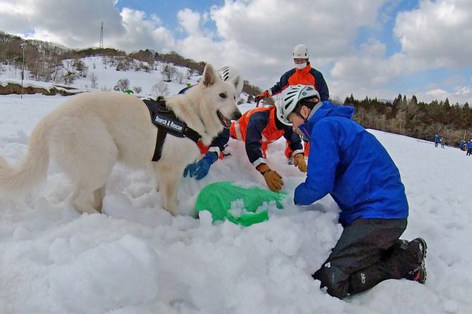 活動のひとつとして参加した『冬山遭難救助訓練』【災害救助犬 コアと家族の日記 Vol.12】