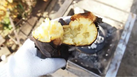 ダッチオーブンで石焼き芋を作ろう！必要な道具と作り方のポイント