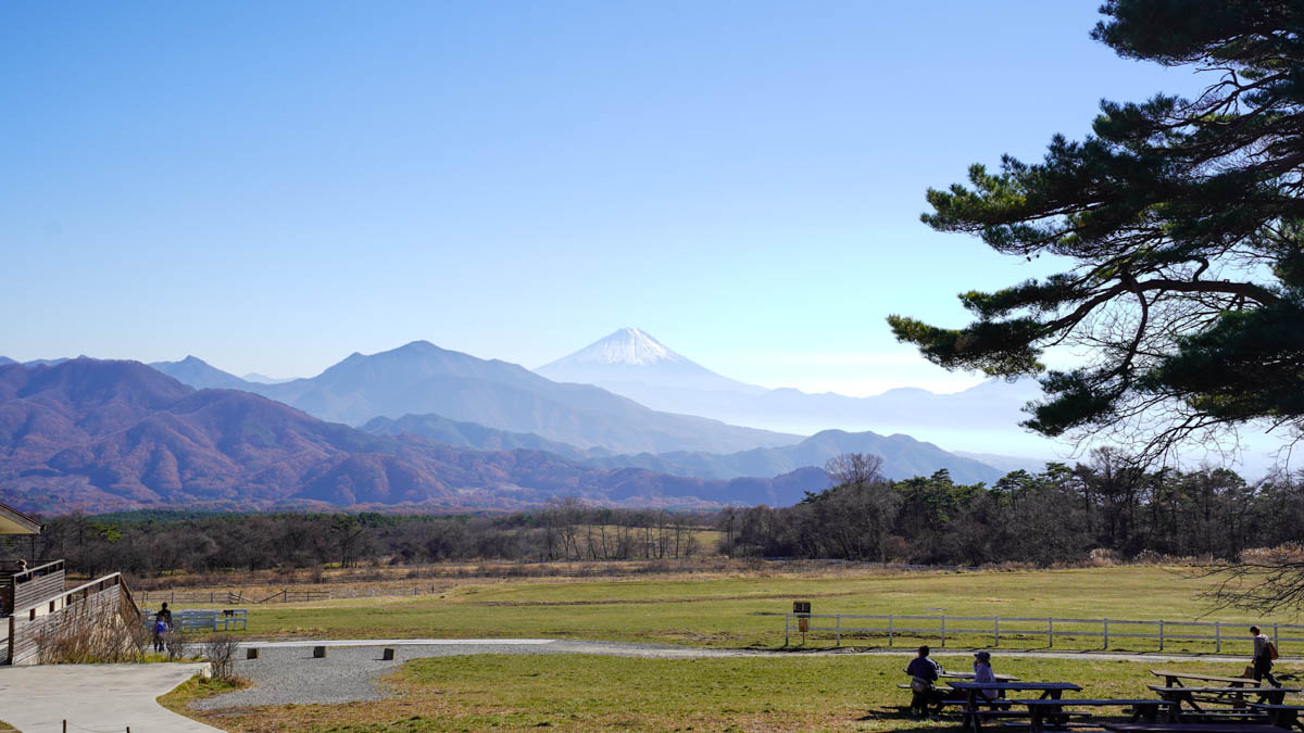 会場である清泉寮からは富士山が一望できる。（森deリトリート）