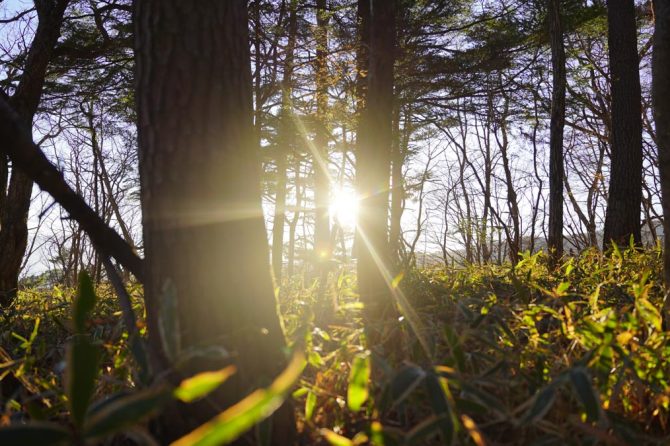 森deリトリート