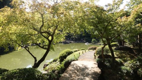 大正時代の趣を今に伝える豊島区「旧古河庭園」の幻の山と見どころ【プロハイカー斉藤正史のTOKYO山頂ガイド File.30】