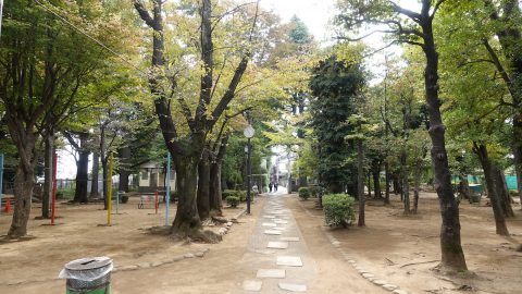 縄文時代からの歴史が詰まった、荒川区の太田道灌ゆかりの山【プロハイカー斉藤正史のTOKYO山頂ガイド File.29】