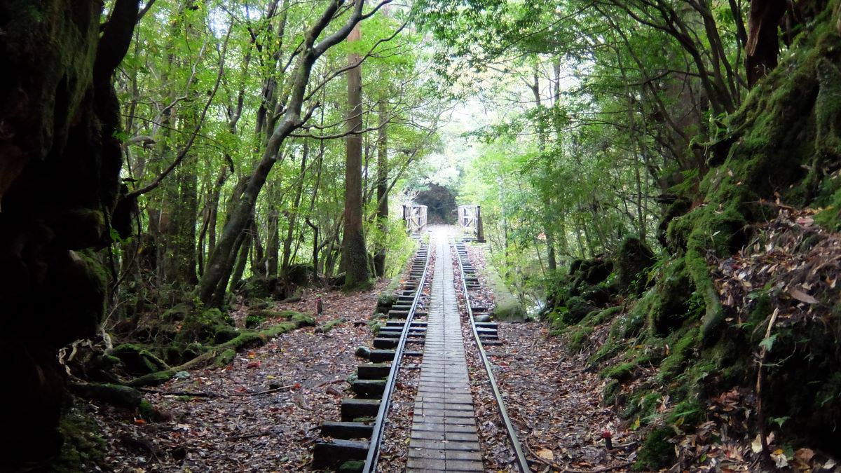 昔使われていたトロッコ道