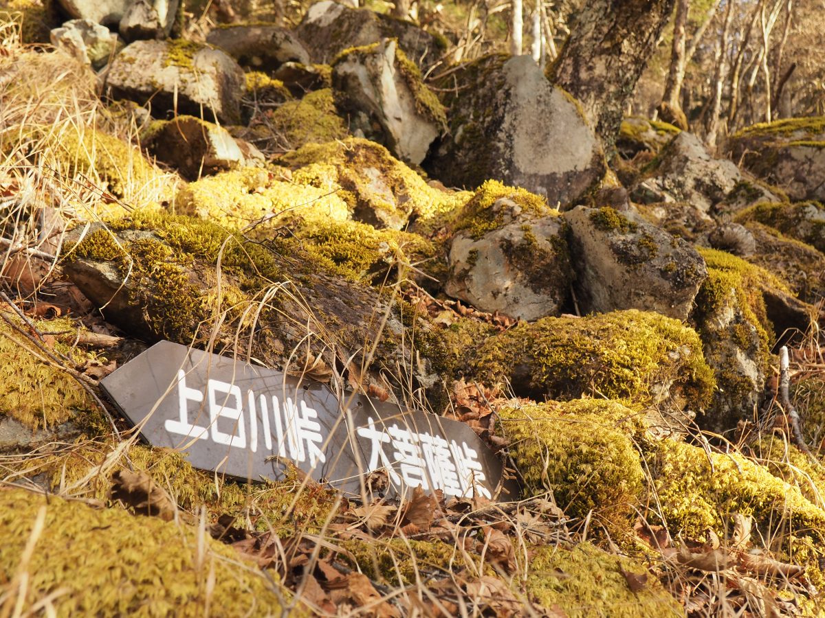 登山道標識。