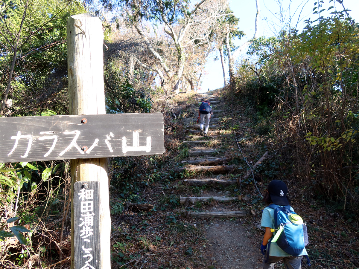 烏場山の頂上へ続く階段