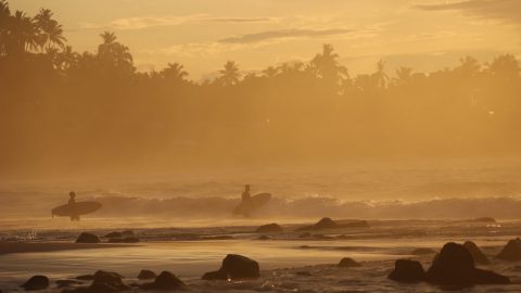 デビュー20周年を記念してスリランカの旅へ！【前編・ミリッサを目指して】