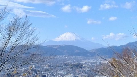 弘法山公園・吾妻山ハイキングコースを訪れたら…標高200メートル台でも大迫力だー！