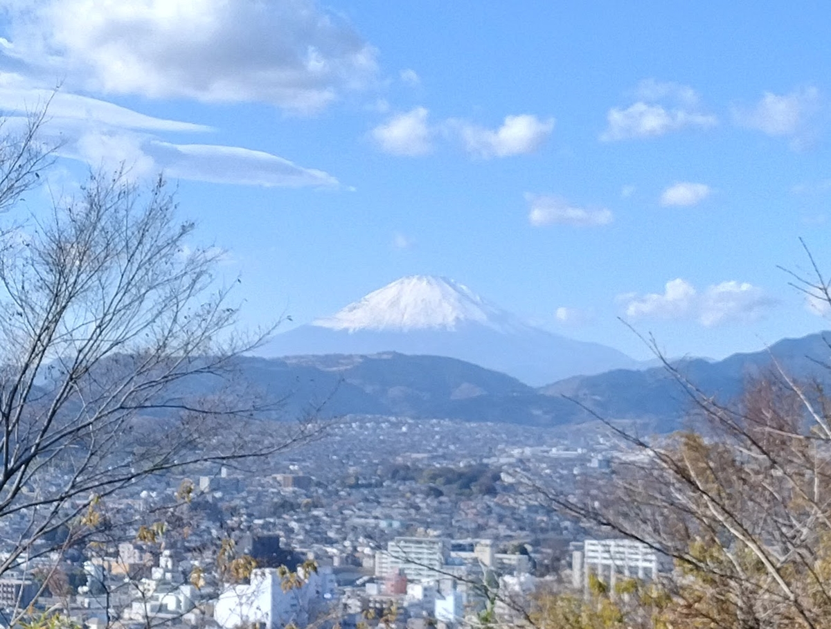 弘法山公園・吾妻山ハイキングコースを訪れたら…標高200メートル台でも大迫力だー！