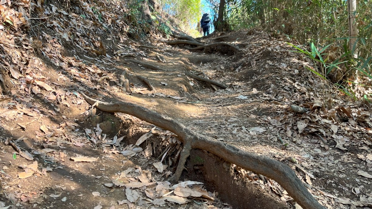 吾妻山までの道のり