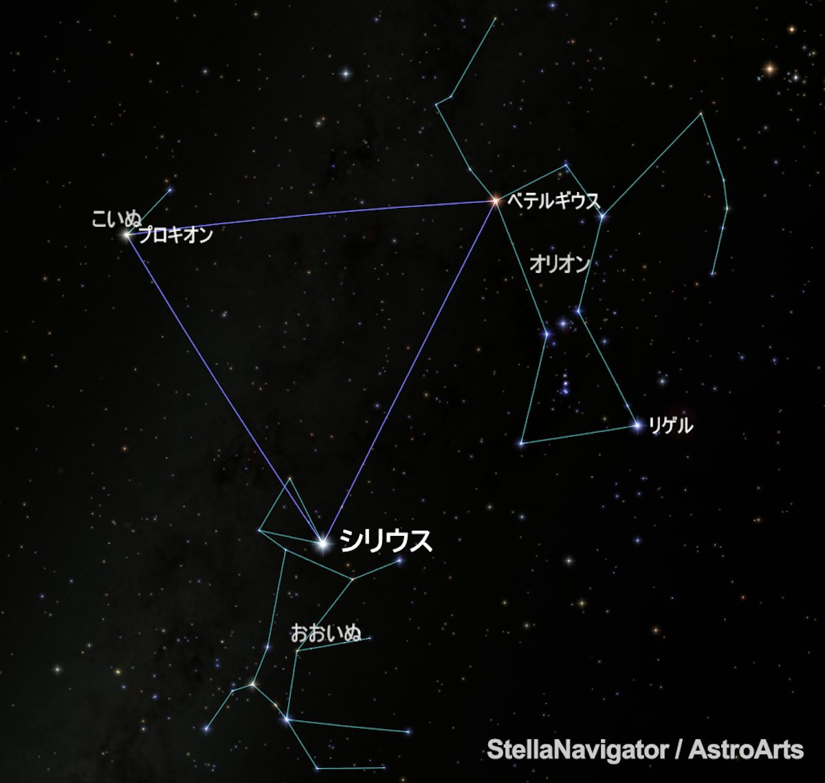 冬空に輝くシリウスが、古代エジプトでは夏に重要な星だった理由