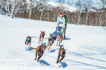 犬ぞり体験＆「水上高原ホテル200」